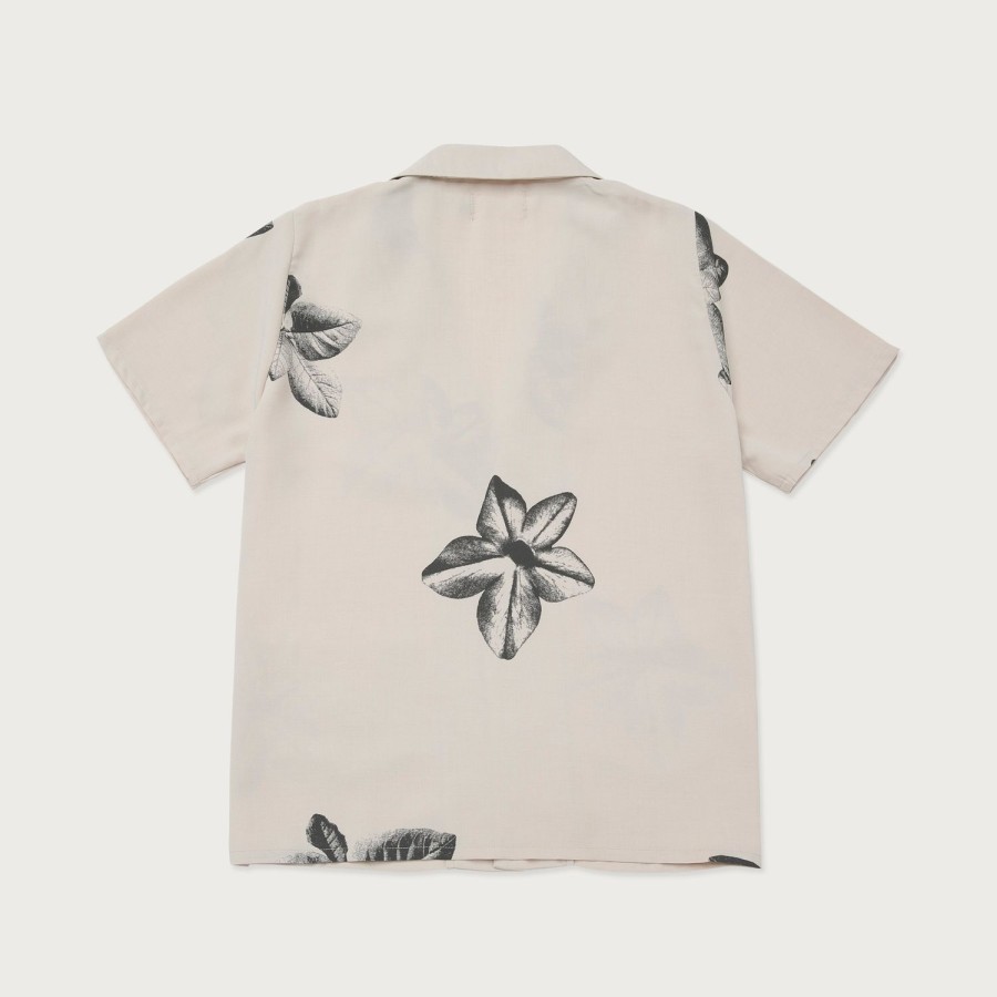 Honor The Gift | Womens Floral Camp S/S Button Up - Cream